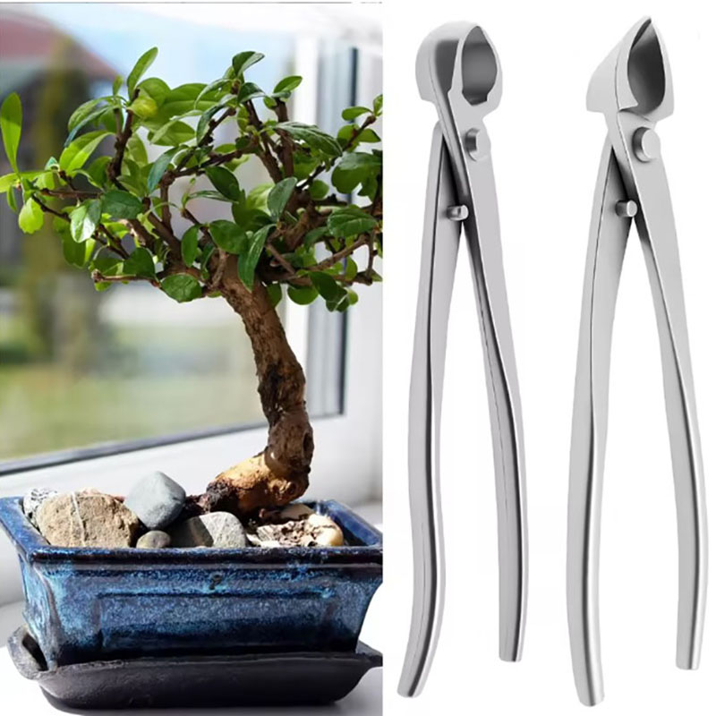 Bonsai Tool Set - 2pcs 210mm Stainless Steel Bonsai Tool