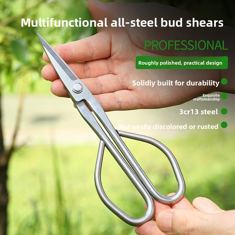 Bonsai Tool Set - Tender Leaf Scissors Bonsai Tools Branch