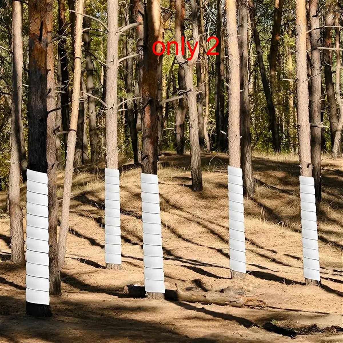 A75K Plant Tree Trunk Protecto - Gardening Hand Tools B&Q ulasan dan harga