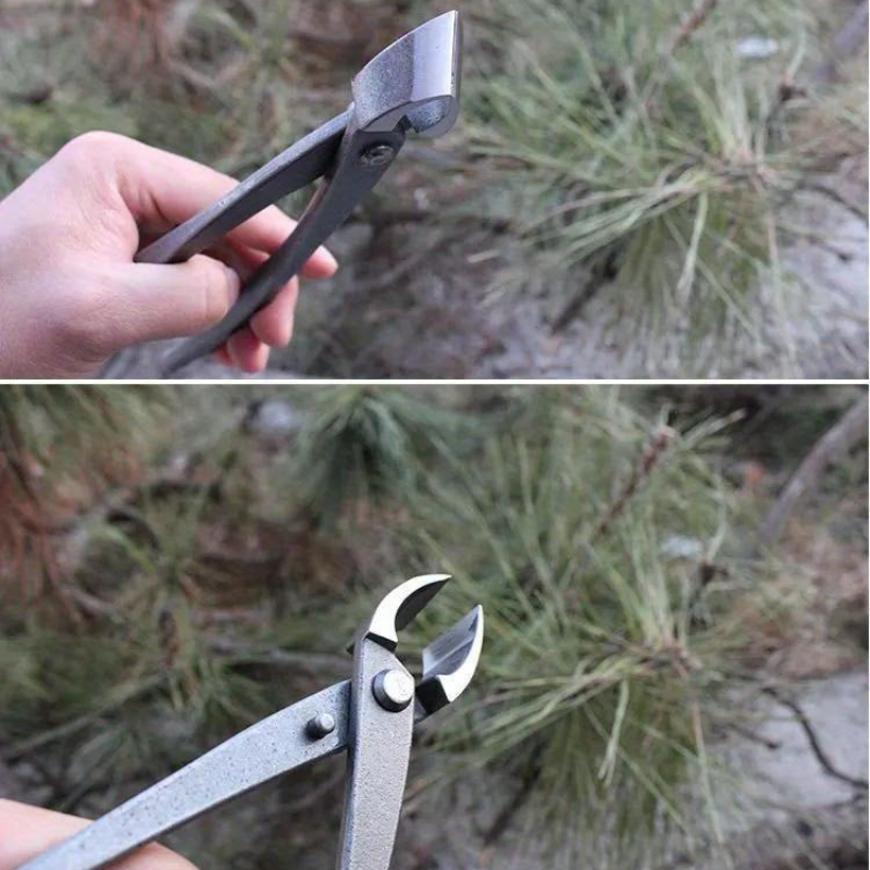 Bonsai Knob Cutter Concave Edg - Bonsai Tool Set ulasan dan harga