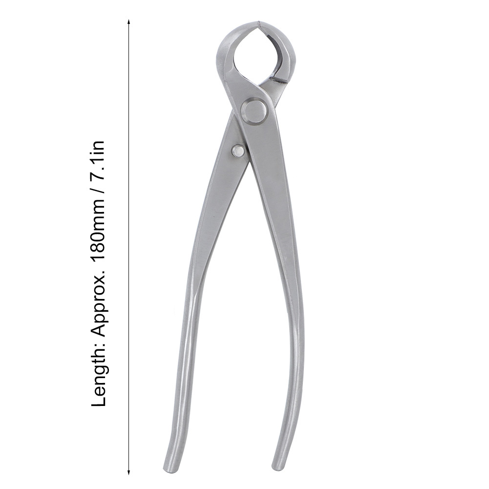 Concave Knob Cutter 180mm Stai - Bonsai Tool Set ulasan dan harga