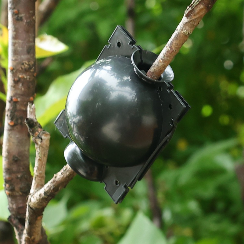 Reusable Plant Rooting Ball Gr - Gardening Tools Organiser ulasan dan harga