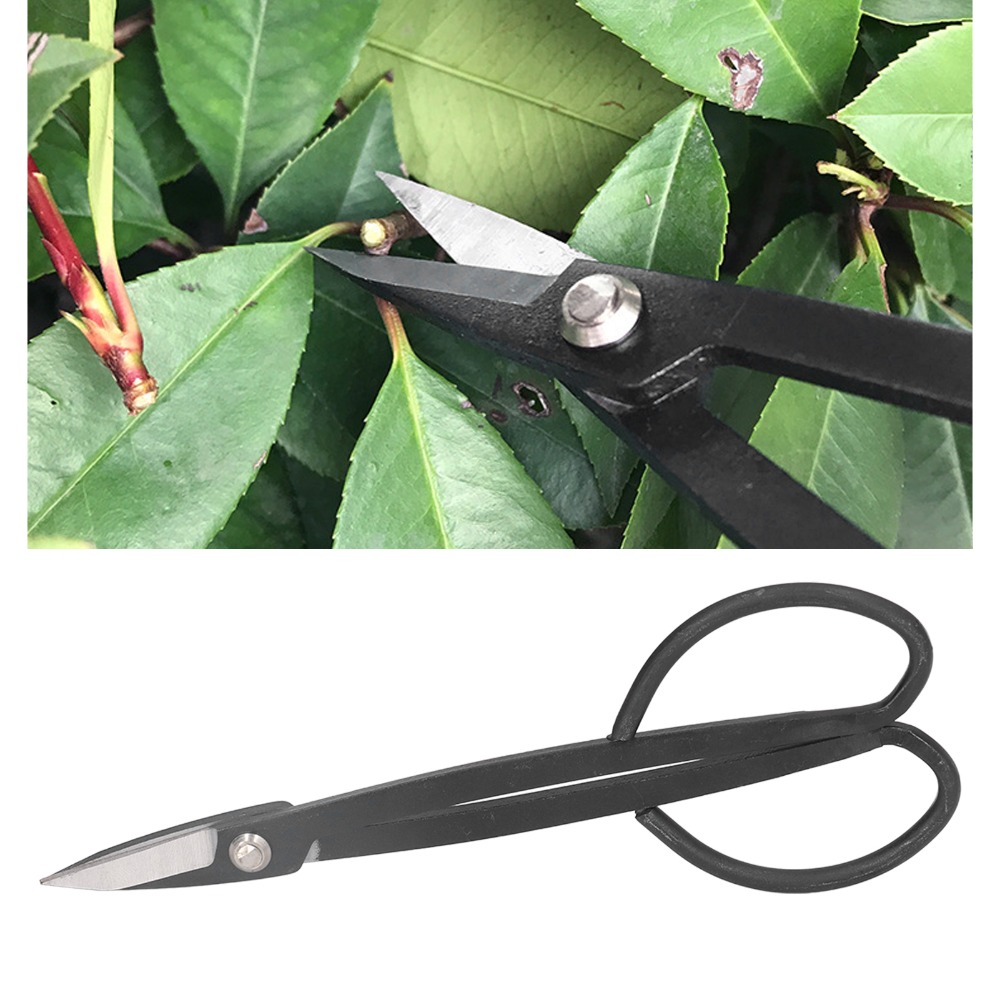 Stainless Steel Bonsai Scissor - Bonsai Tool Set ulasan dan harga