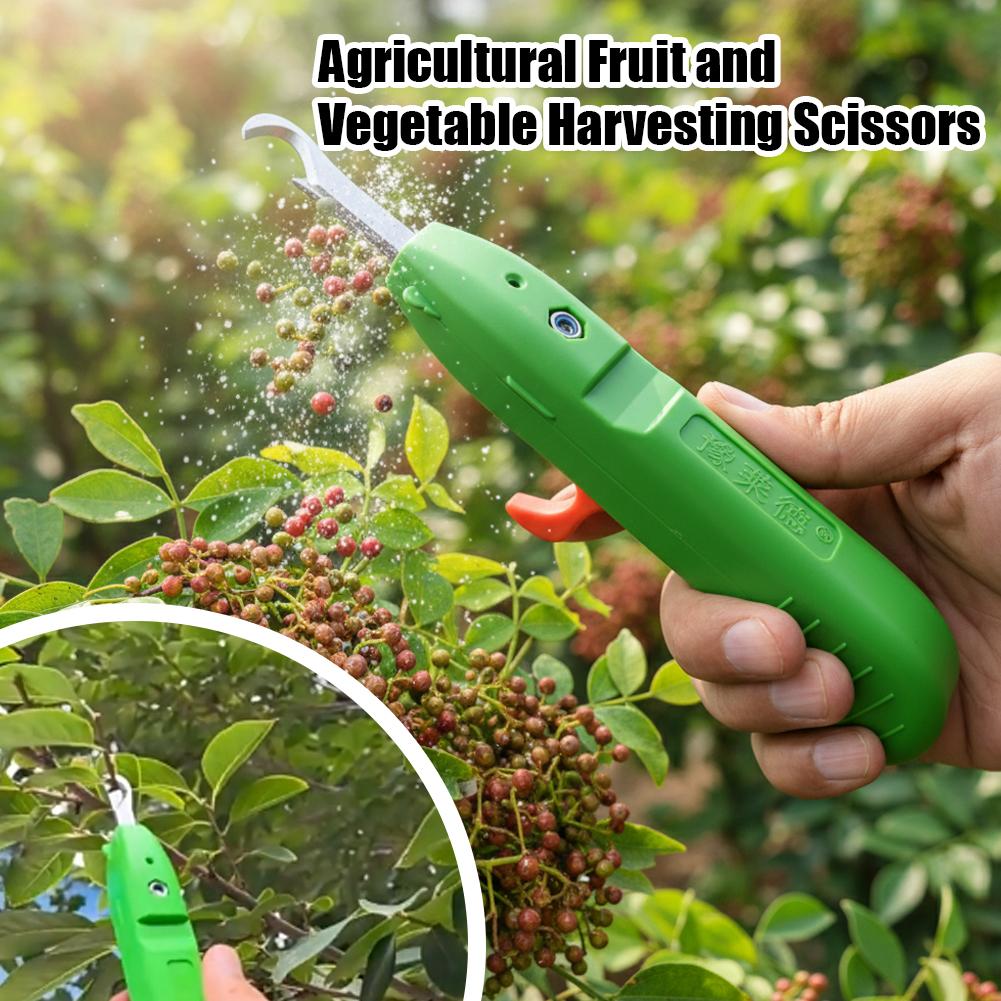 Fruit And Vegetable Picking Sh - Gardening Tools Hand ulasan dan harga