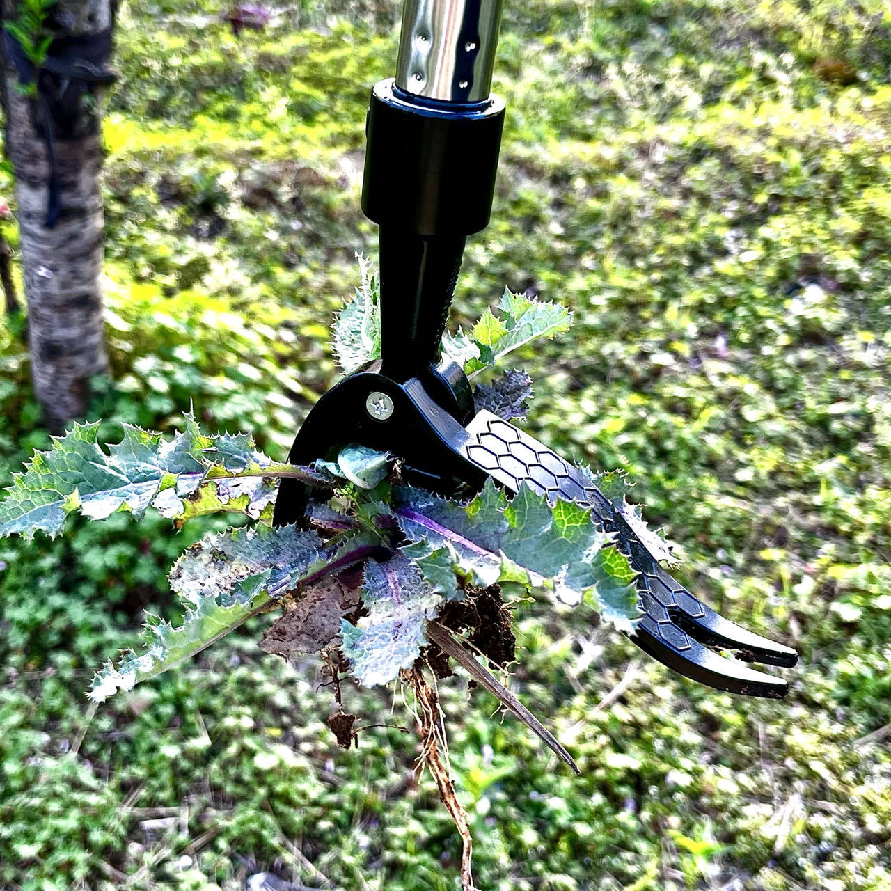 Save Labour Hand Metal Weed Ex - Gardening Tools Needed ulasan dan harga