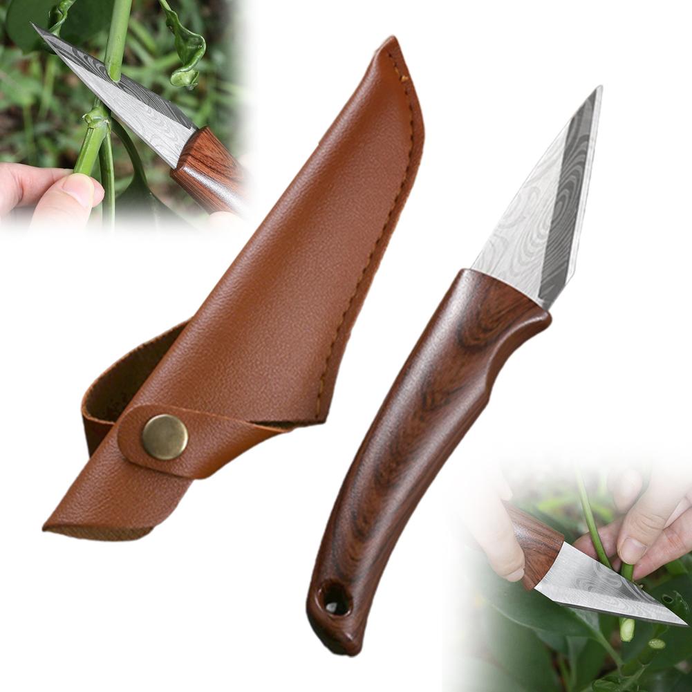 Wooden Handle Grafting Knife w - Bonsai Tool Set ulasan dan harga