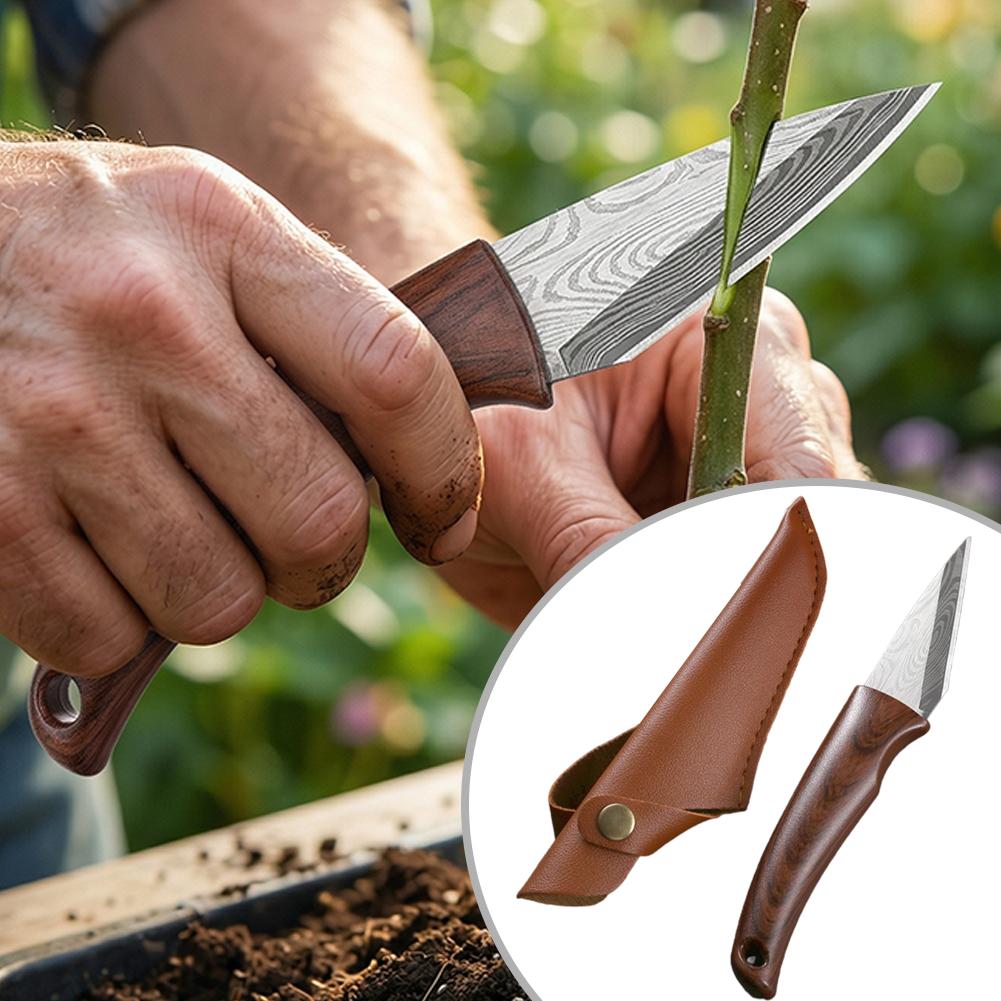 Wooden Handle Grafting Knife w - Bonsai Tool Set ulasan dan harga