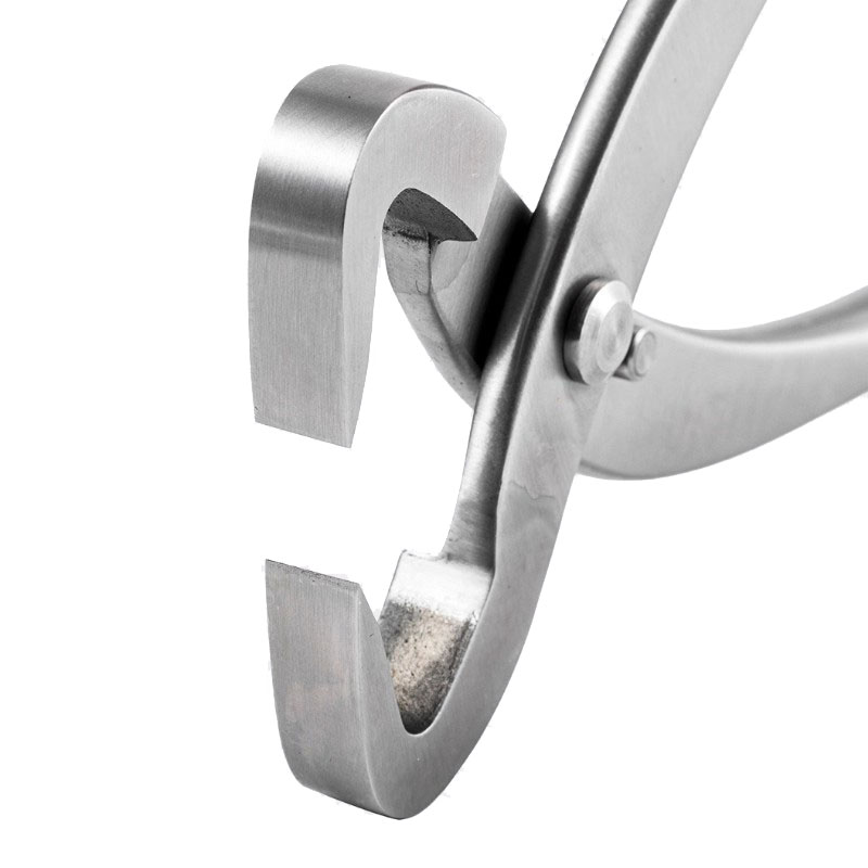 2pcs 210mm Stainless Steel Bon - Bonsai Tool Set ulasan dan harga