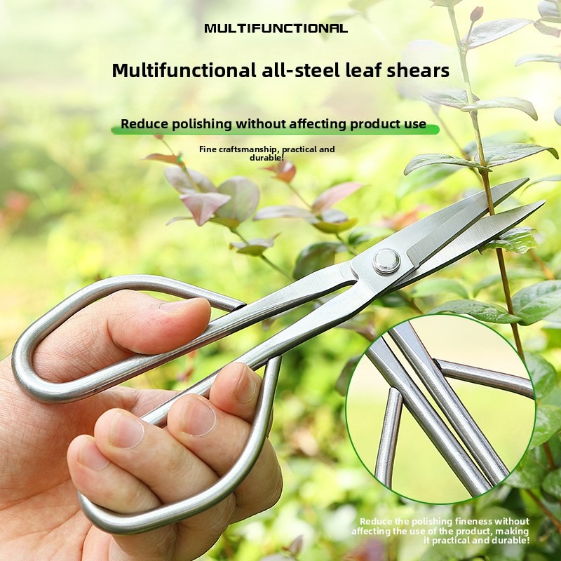 Tender Leaf Scissors Bonsai To - Bonsai Tool Set ulasan dan harga