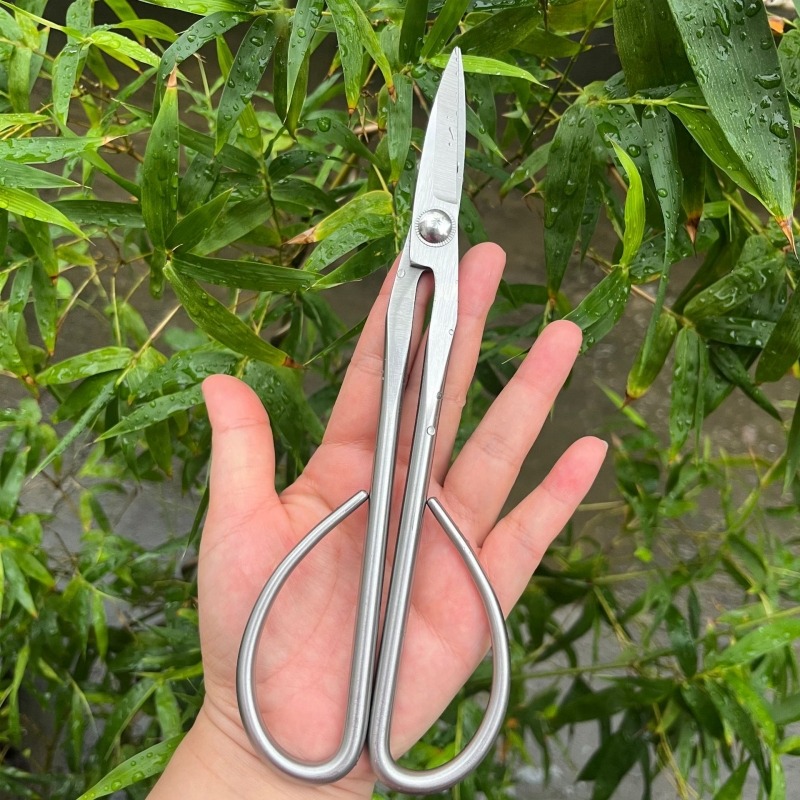Tender Leaf Scissors Bonsai To - Bonsai Tool Set ulasan dan harga