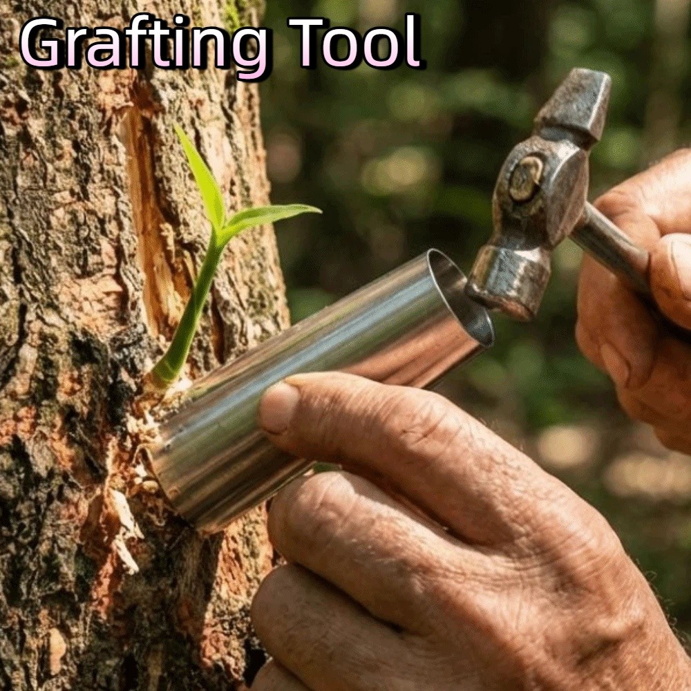 5Pcs Stainless Steel Bud-Graft - Bonsai Tool Set ulasan dan harga