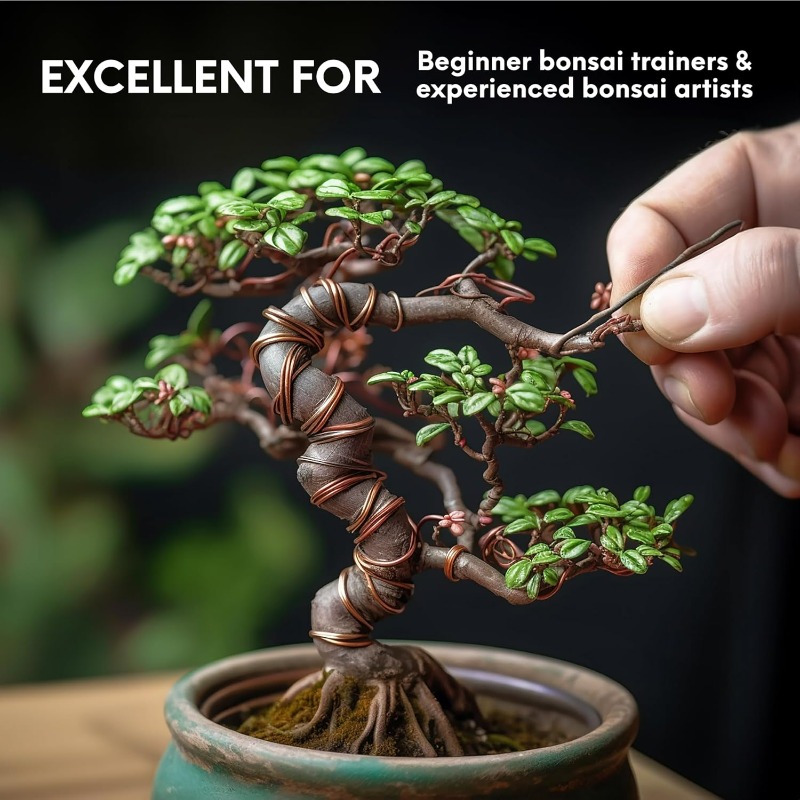 5M Bonsai Training Wire Set fo - Bonsai Tool Set ulasan dan harga