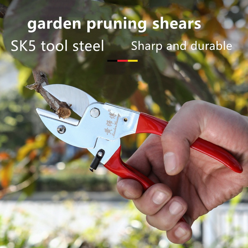 SK5 Steel Manual Garden Prunin - Bonsai Tool Set ulasan dan harga