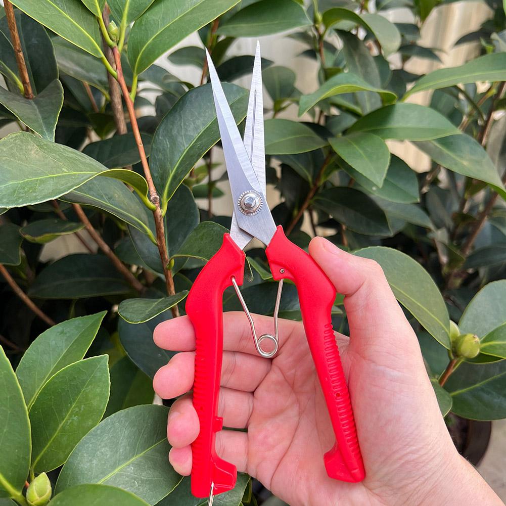 Pro Garden Pruning Shears Leng - Gardening Tools Hand ulasan dan harga