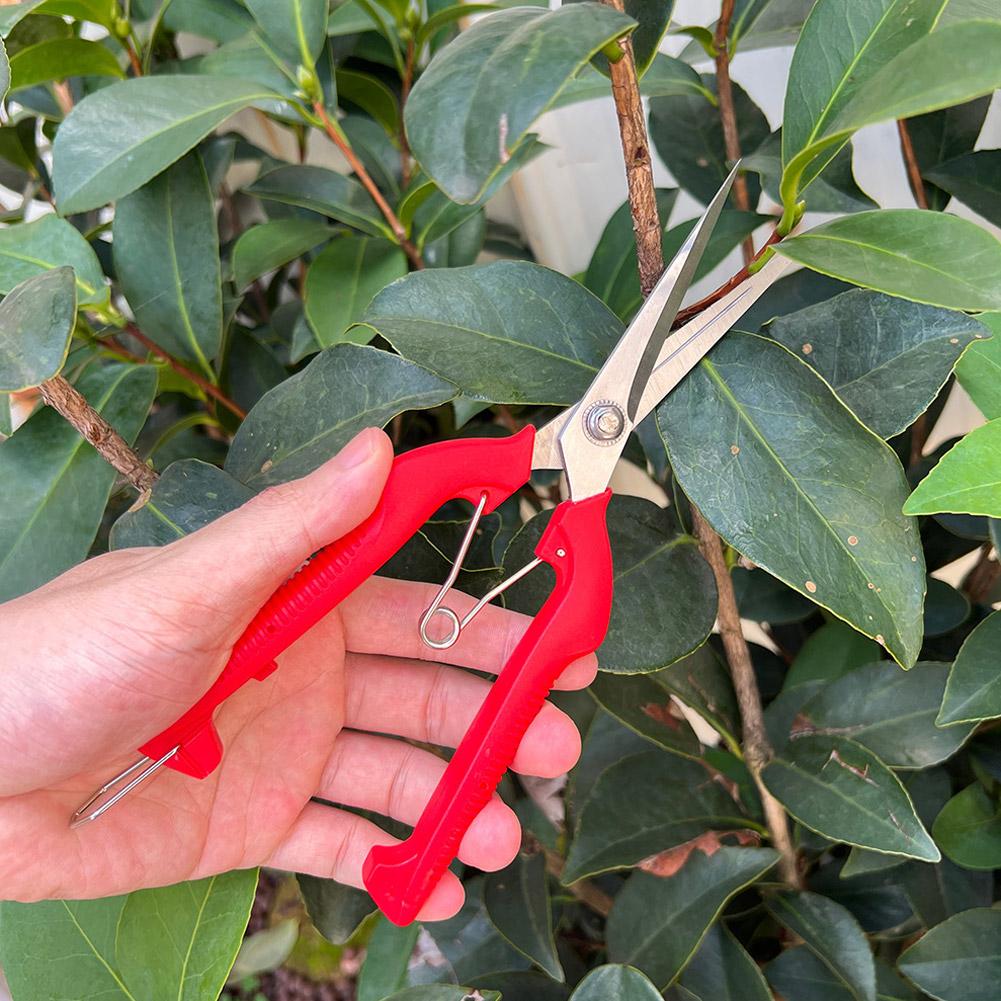 Pro Garden Pruning Shears Leng - Gardening Tools Hand ulasan dan harga