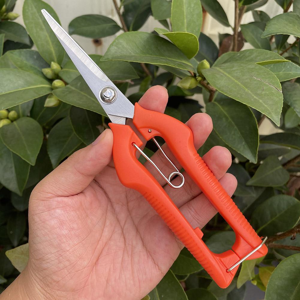 Pro Garden Pruning Shears Leng - Gardening Tools Hand ulasan dan harga