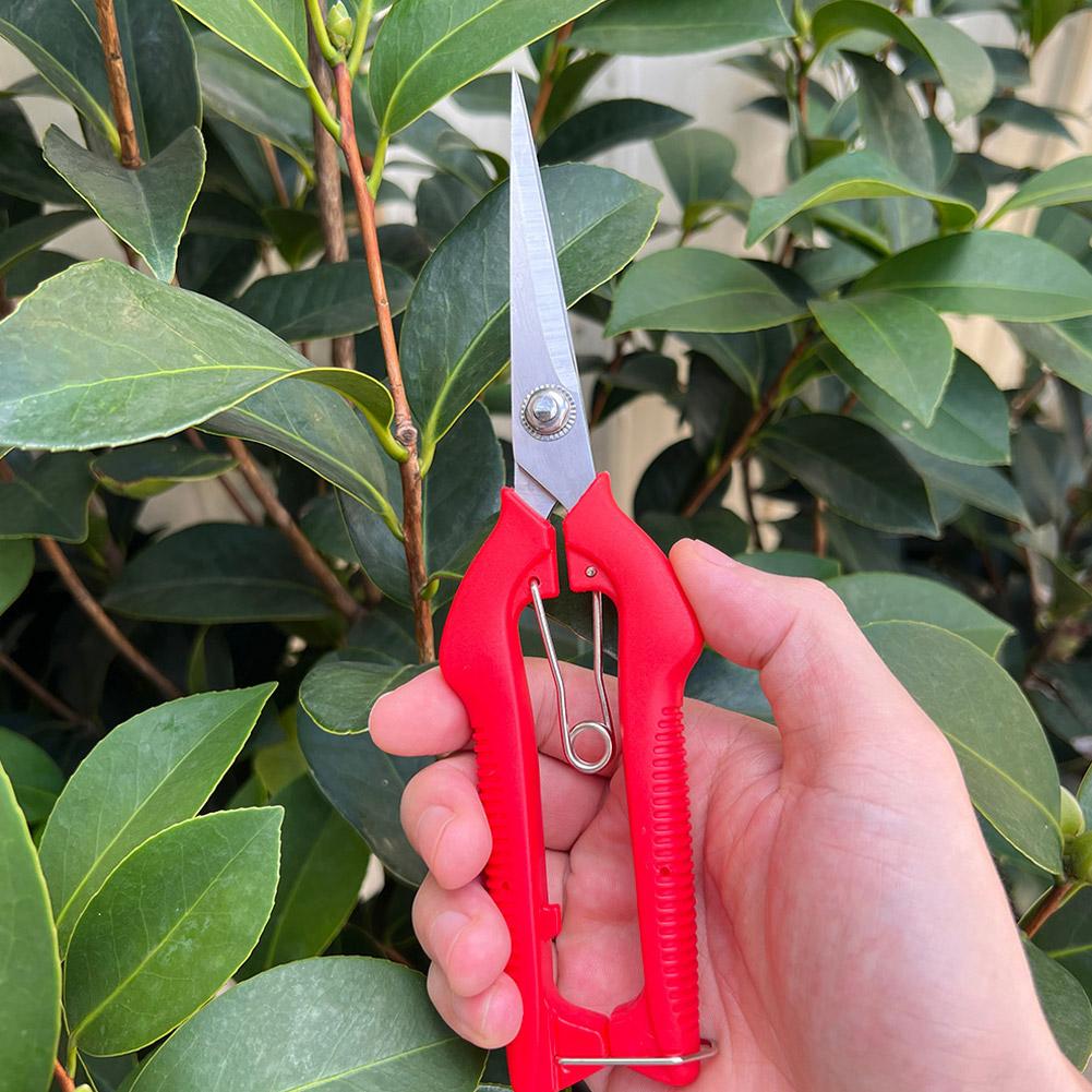 Pro Garden Pruning Shears Leng - Gardening Tools Hand ulasan dan harga