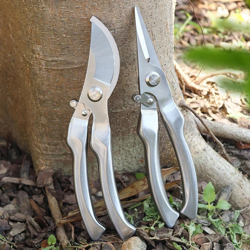 All Stainless Steel Profession - Bonsai Tool Set ulasan dan harga