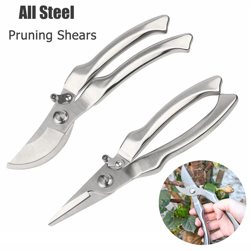 All Stainless Steel Profession - Bonsai Tool Set ulasan dan harga