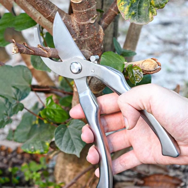 All Stainless Steel Profession - Bonsai Tool Set ulasan dan harga