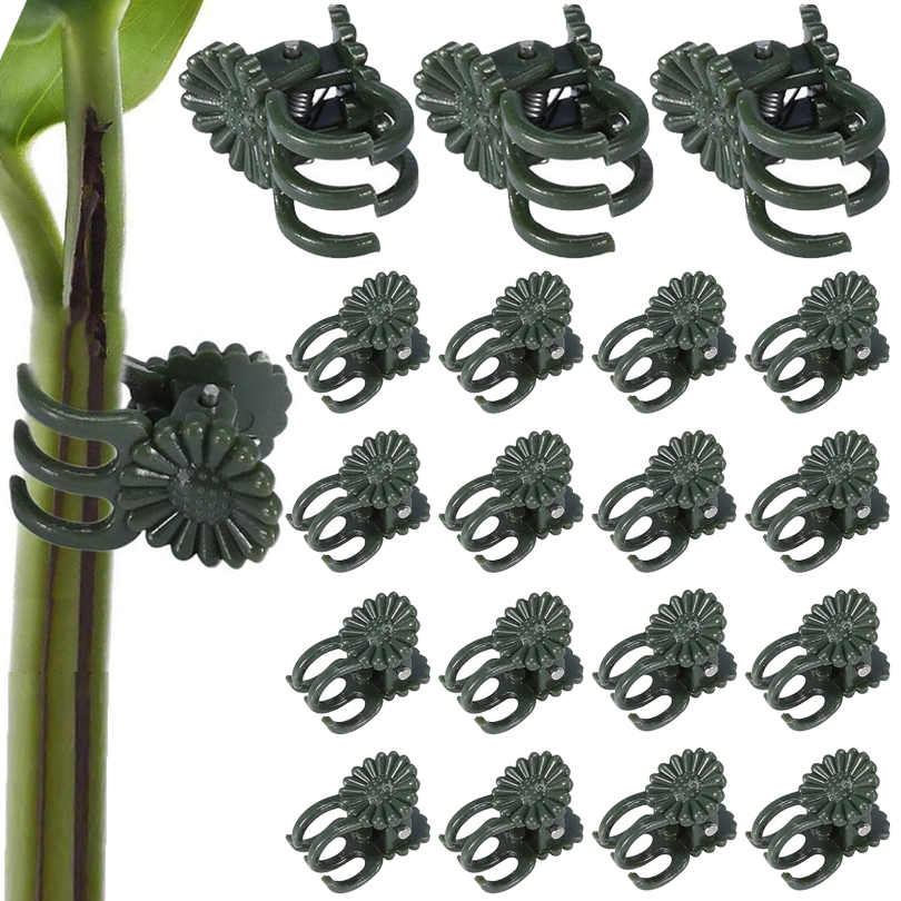 20/50/100PCS Plant Clips Vine  - Gardening Tools Usa ulasan dan harga