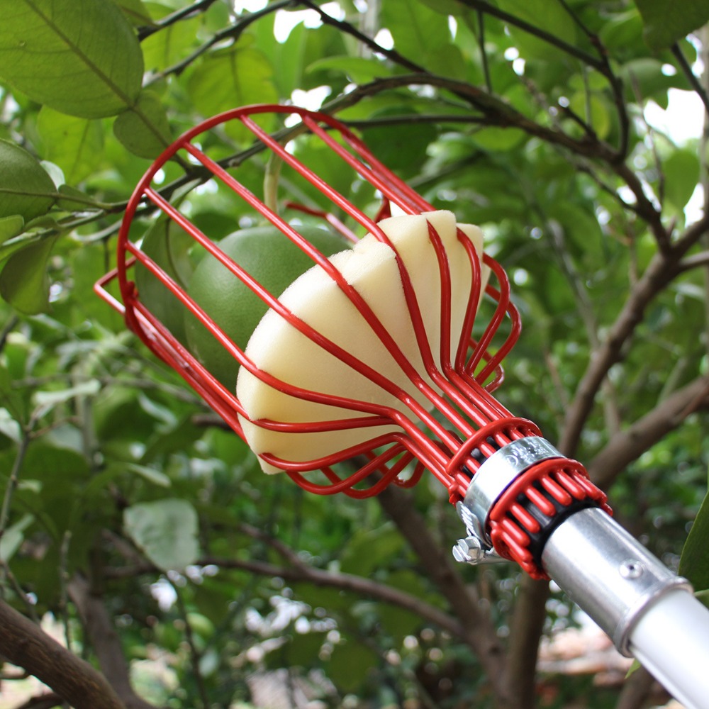 Metal/Plastic Fruit Picker Hea - Gardening Tools Hand ulasan dan harga