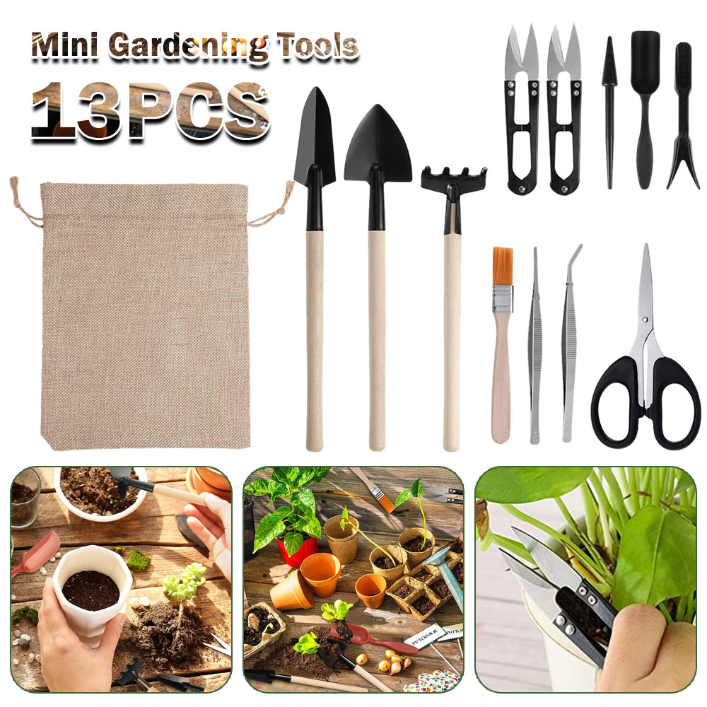 Succulent Plants Tools Mini Ga - Bonsai Tool Set ulasan dan harga