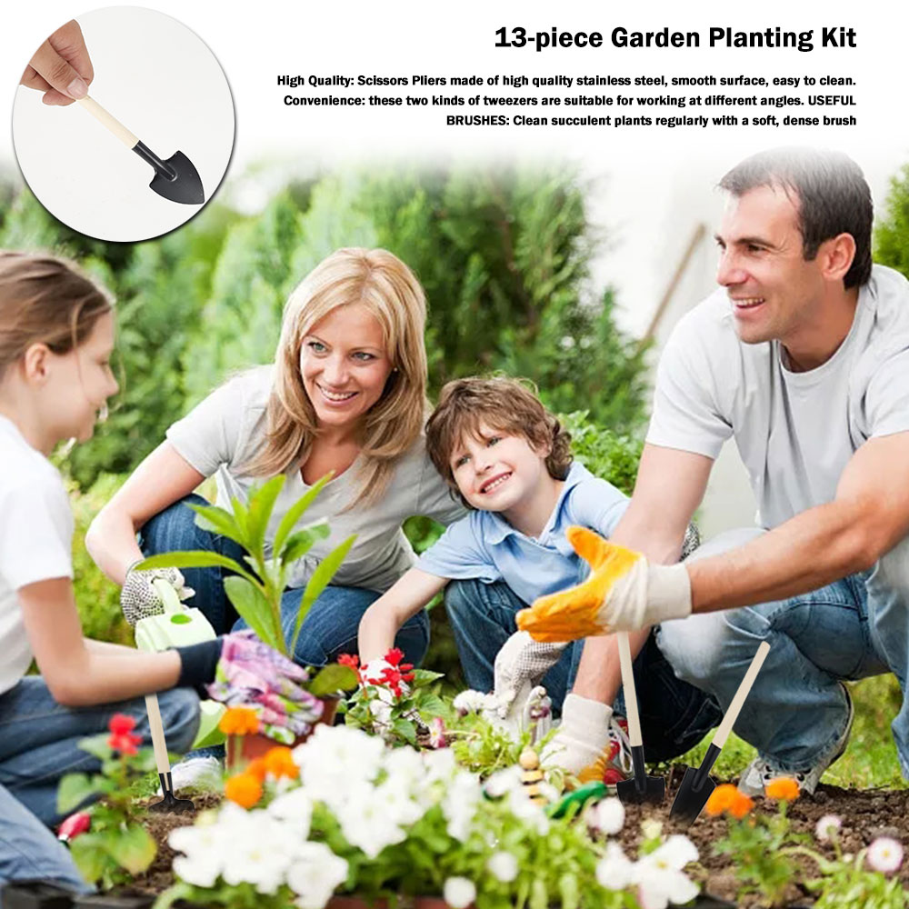 Succulent Plants Tools Mini Ga - Bonsai Tool Set ulasan dan harga