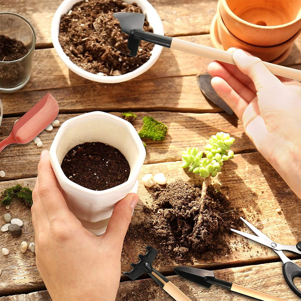 Succulent Plants Tools Mini Ga - Bonsai Tool Set ulasan dan harga