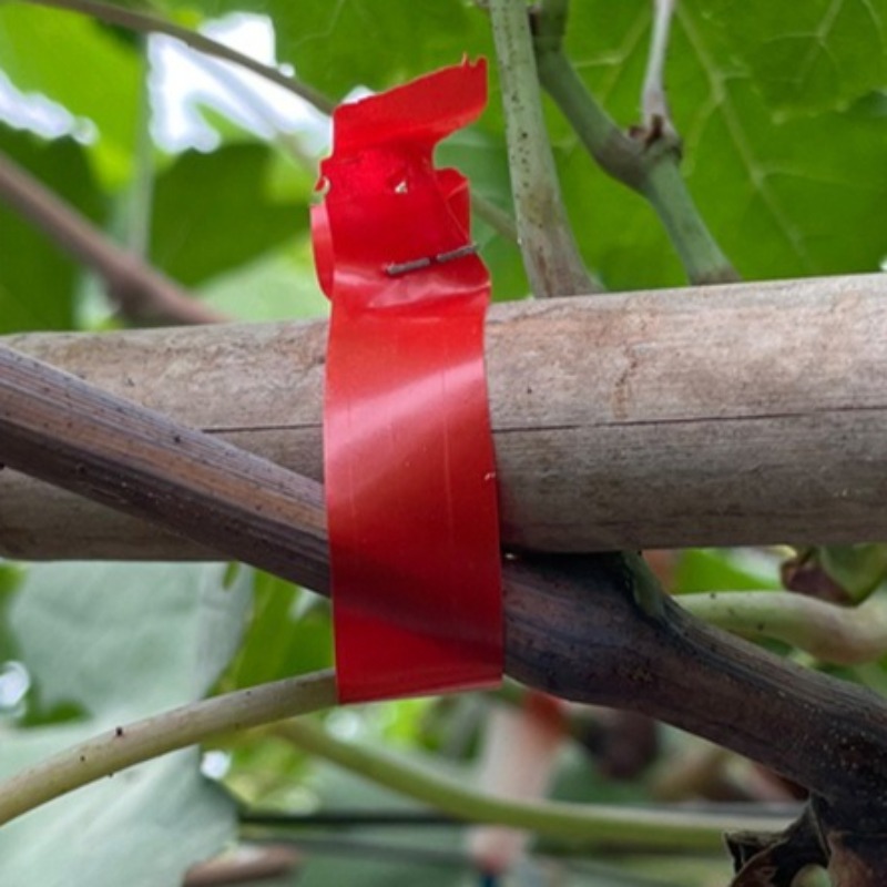 Grape Branch Binding Machine S - Gardening Tools Hand ulasan dan harga