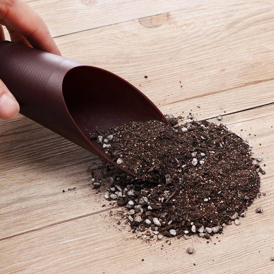 1PC Plastic Soil Shovel Cup Fo - Gardening Tools Hand ulasan dan harga